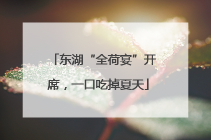 东湖“全荷宴”开席，一口吃掉夏天
