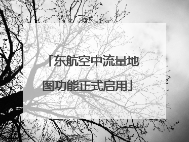 东航空中流量地图功能正式启用