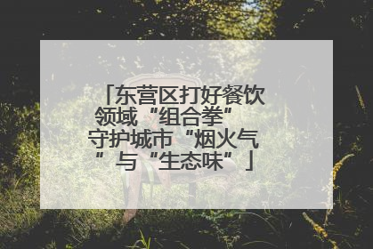 东营区打好餐饮领域“组合拳” 守护城市“烟火气”与“生态味”