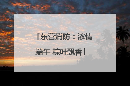 东营消防：浓情端午 粽叶飘香