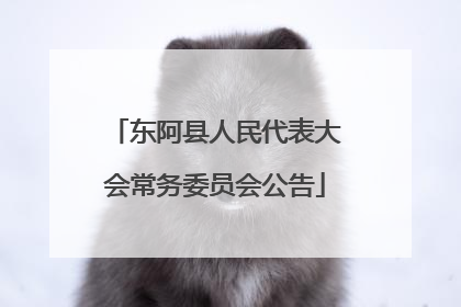 东阿县人民代表大会常务委员会公告