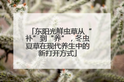 东阳光鲜虫草从“补”到“养”，冬虫夏草在现代养生中的新打开方式