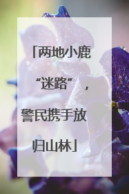 两地小鹿“迷路”，警民携手放归山林