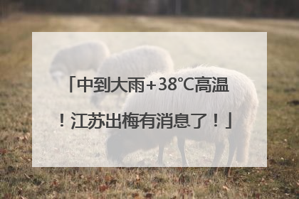 中到大雨+38℃高温！江苏出梅有消息了！