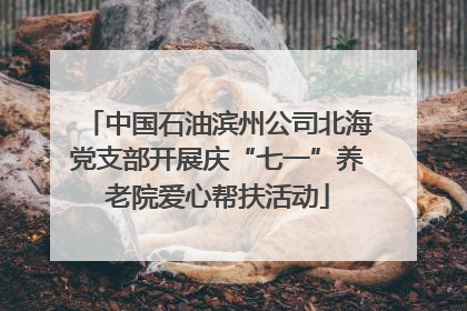中国石油滨州公司北海党支部开展庆“七一”养老院爱心帮扶活动