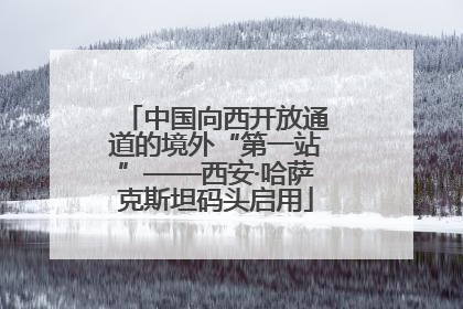 中国向西开放通道的境外“第一站”——西安·哈萨克斯坦码头启用