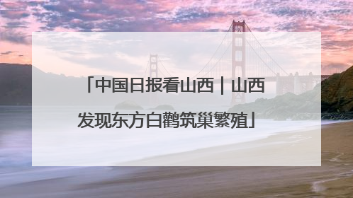 中国日报看山西｜山西发现东方白鹳筑巢繁殖