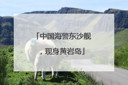 中国海警东沙舰，现身黄岩岛