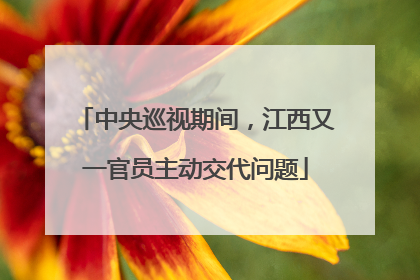 中央巡视期间，江西又一官员主动交代问题