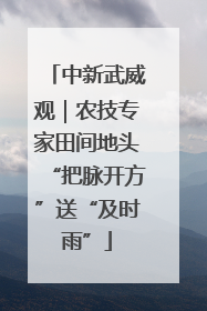 中新武威观｜农技专家田间地头“把脉开方”送“及时雨”