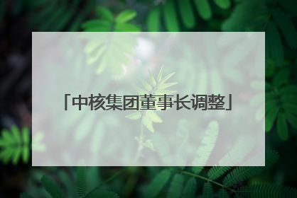 中核集团董事长调整