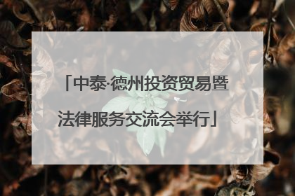 中泰·德州投资贸易暨法律服务交流会举行