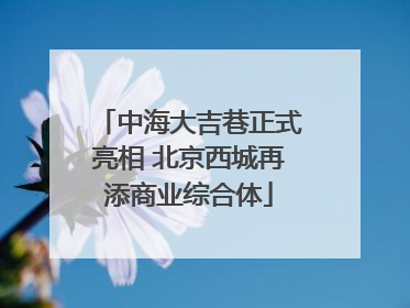 中海大吉巷正式亮相 北京西城再添商业综合体