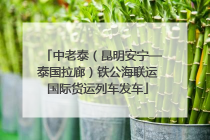 中老泰（昆明安宁—泰国拉廊）铁公海联运国际货运列车发车