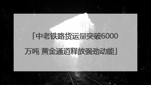 中老铁路货运量突破6000万吨 黄金通道释放强劲动能