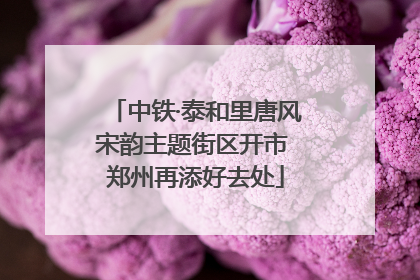 中铁·泰和里唐风宋韵主题街区开市 郑州再添好去处