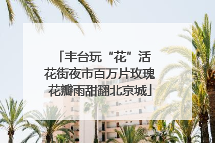 丰台玩“花”活 花街夜市百万片玫瑰花瓣雨甜翻北京城