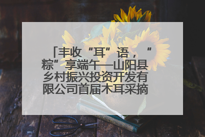 丰收“耳”语，“粽”享端午—山阳县乡村振兴投资开发有限公司首届木耳采摘活动盛大启幕