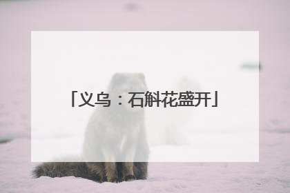 义乌：石斛花盛开