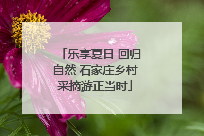 乐享夏日 回归自然 石家庄乡村采摘游正当时