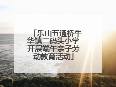 乐山五通桥牛华镇二码头小学开展端午亲子劳动教育活动