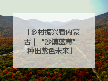 乡村振兴看内蒙古｜“沙漠蓝莓”种出紫色未来