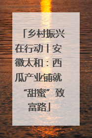 乡村振兴在行动丨安徽太和：西瓜产业铺就“甜蜜”致富路