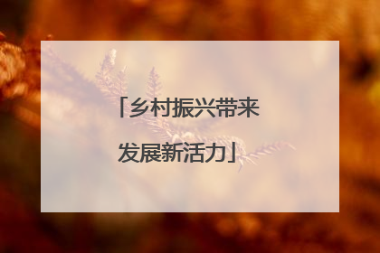 乡村振兴带来发展新活力