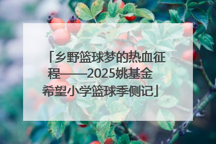 乡野篮球梦的热血征程——2025姚基金希望小学篮球季侧记