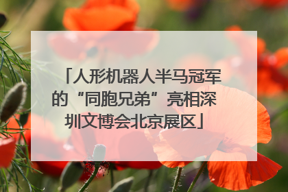 人形机器人半马冠军的“同胞兄弟”亮相深圳文博会北京展区