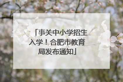 事关中小学招生入学！合肥市教育局发布通知