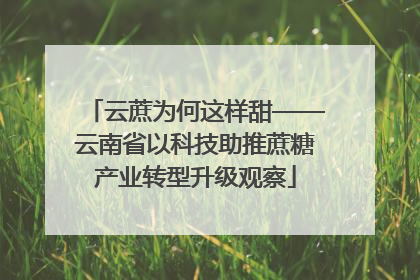 云蔗为何这样甜——云南省以科技助推蔗糖产业转型升级观察