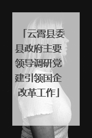 云霄县委县政府主要领导调研党建引领国企改革工作
