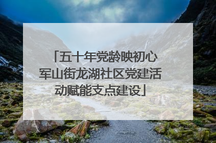五十年党龄映初心 军山街龙湖社区党建活动赋能支点建设