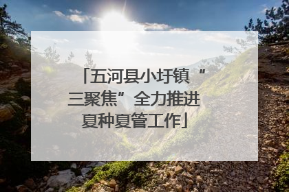 五河县小圩镇“三聚焦”全力推进夏种夏管工作