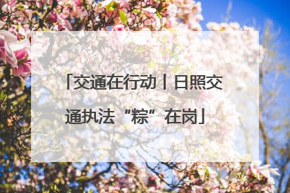 交通在行动丨日照交通执法“粽”在岗