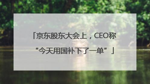 京东股东大会上，CEO称“今天用国补下了一单”
