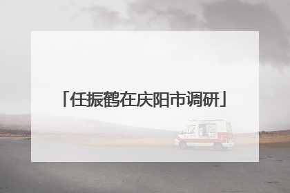 任振鹤在庆阳市调研