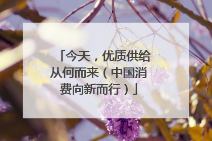 今天，优质供给从何而来（中国消费向新而行）