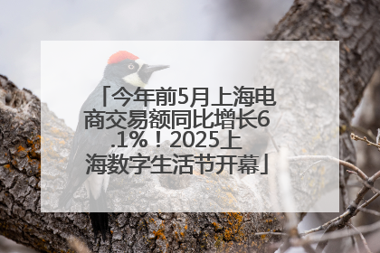 今年前5月上海电商交易额同比增长6.1%！2025上海数字生活节开幕