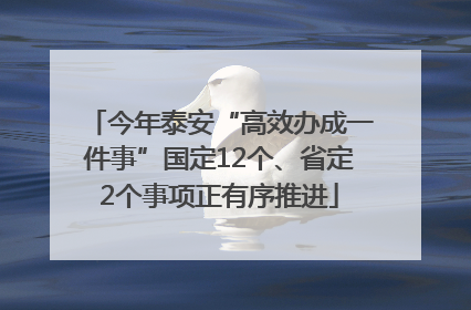 今年泰安“高效办成一件事”国定12个、省定2个事项正有序推进