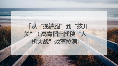 从“挽裤腿”到“按开关”！高青稻田插秧“人机大战”效率拉满