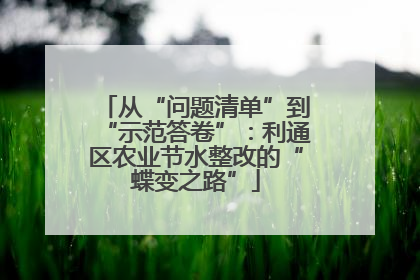 从“问题清单”到“示范答卷”：利通区农业节水整改的“蝶变之路”
