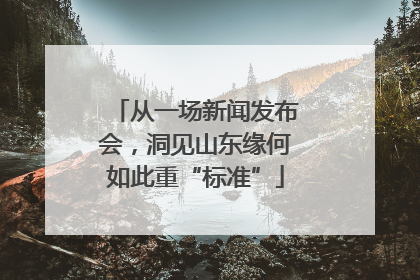 从一场新闻发布会，洞见山东缘何如此重“标准”