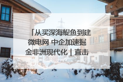 从买深海鳀鱼到建微电网 中企加速掘金非洲现代化｜直击中非经贸博览会