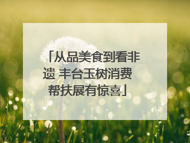 从品美食到看非遗 丰台玉树消费帮扶展有惊喜