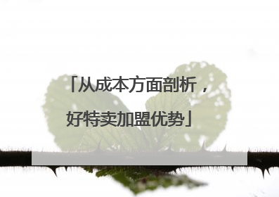 从成本方面剖析，好特卖加盟优势