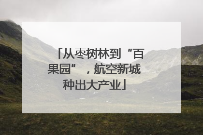 从枣树林到“百果园”，航空新城种出大产业
