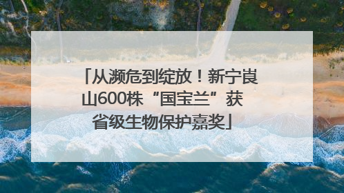 从濒危到绽放！新宁崀山600株“国宝兰”获省级生物保护嘉奖
