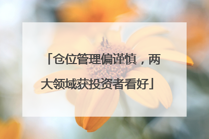 仓位管理偏谨慎，两大领域获投资者看好